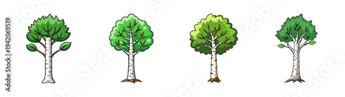 Illustration of birch trees vector art graphic resource for nature and landscape design projects