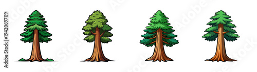Four cartoon sequoia trees illustration for graphic design and nature themed projects design element