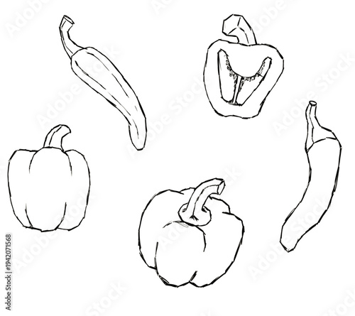 Black sketch vector peppers vegetables for menu cafe and kitchen decor
