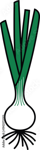 A green onion or scallion with long green leaves and a white bulb