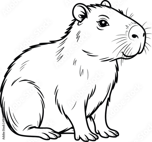 A black and white illustration of a cute guinea pig