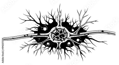 Detailed vintage engraving of a complex neurological cell structure with multiple branching dendrites