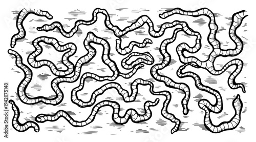 Hand drawn engraving of crawling worms and tangled organic shapes in woodcut style