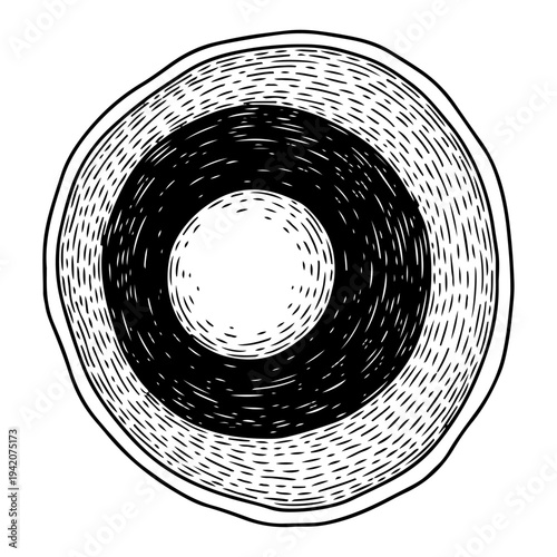 Circular cross section of wood grain or tree rings in detailed engraving style