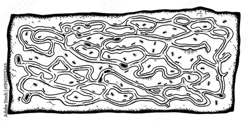 Detailed vintage woodcut illustration showing a complex ant colony with underground tunnels and insects