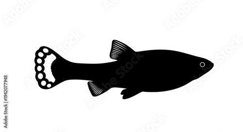 Black silhouette of a fish with detailed fins and tail isolated on white