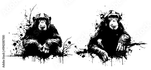 Pair of chimpanzee monkeys portraits in expressive black ink splatter and grunge style