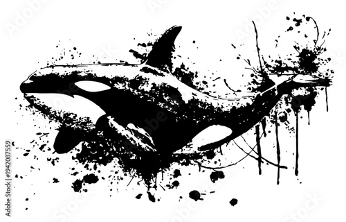 Orca killer whale jumping with artistic black ink splatters and water splash