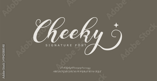 Cheeky Signature Font Typography Design Element