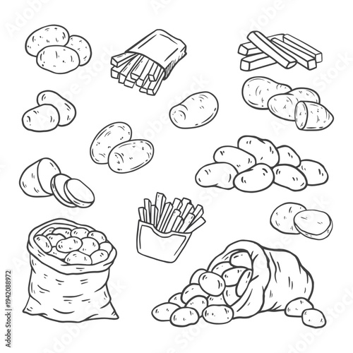 collection of hand drawn potato. Raw whole potatoes, slices of potatoes and a sack of potatoes. Potato in sketch style for packaging and prints, for store and farm. Vector illustration of food