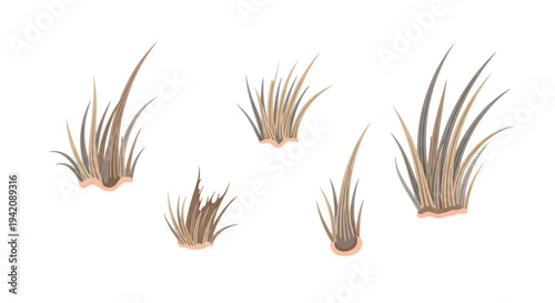 Five distinct clumps of brown and beige hair or grass-like strands, varying in size and density, are isolated on a plain white background.