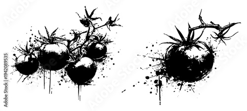 Fresh ripe tomatoes on the vine with artistic black grunge ink splatters