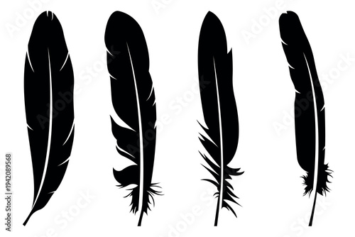 Black Feather Silhouettes. Pen icon vector, sign, symbol, logo.
