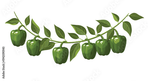 A curved branch adorned with seven vibrant green bell peppers and lush leaves hangs horizontally against a pristine white background.