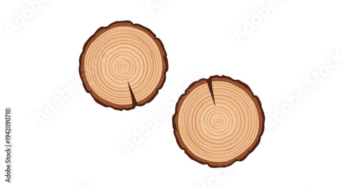 Two perfectly round, light brown wood slices, each displaying clear growth rings and a distinct crack, are diagonally placed on a pristine white background.