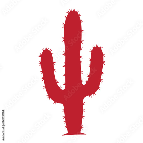 Red cactus plant with spines on white background  a prickly desert flora