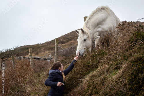 Obraz na plátne A young woman hand-feeding a white Connemara pony over a wire fence in a rugged moorland landscape authentic rural animal interaction and equestrian lifestyle photography in a wild, misty countryside