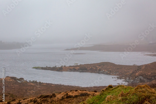Konstfotografi Moody landscape near Clifden, Connemara, Ireland, with misty lake and pine forest on a wet, rainy day