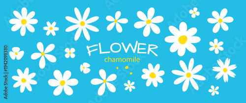 Flower daisy head icon. White floral silhouette set, retro simple shape. Cartoon plant. Cute ign on blue background. Floral vector illustration