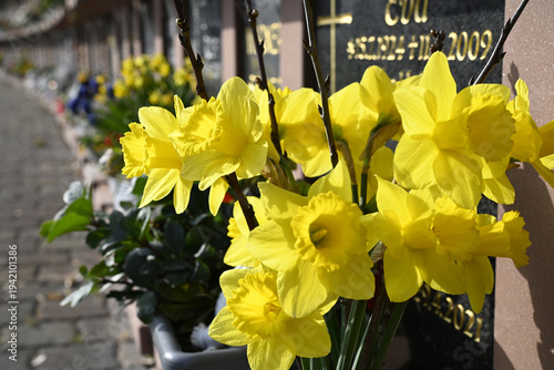 Wallpaper Mural friedhof, grabdekoration Torontodigital.ca