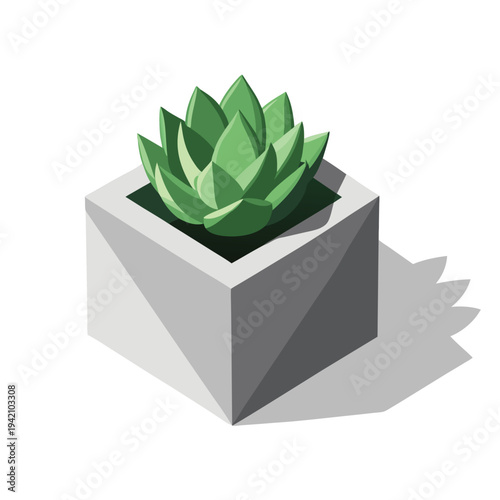 Green Succulent Plant in Geometric Gray Square Pot with Modern Shaded Design