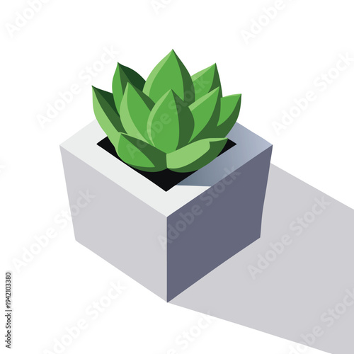 Green Succulent Plant in Gray Square Pot with Isometric Design Element and Long Shadow