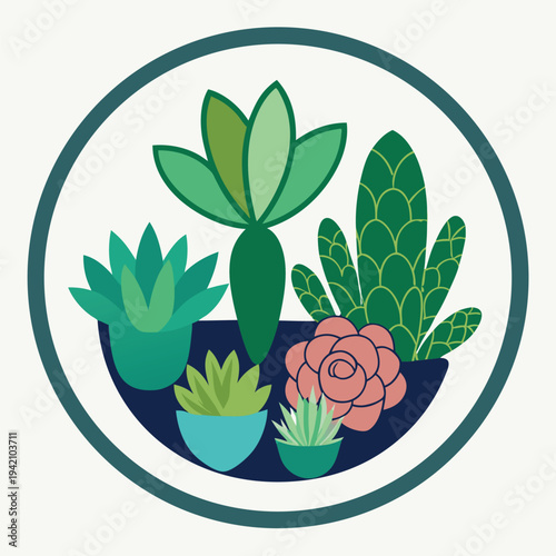 Collection of diverse green succulent plants in pots arranged neatly inside a clean circular frame