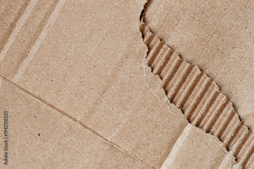 Torn corrugated cardboard texture with visible paper fibers and ripped edge, layered packaging material structure. Natural background cardboard texture, copy space for design mockup