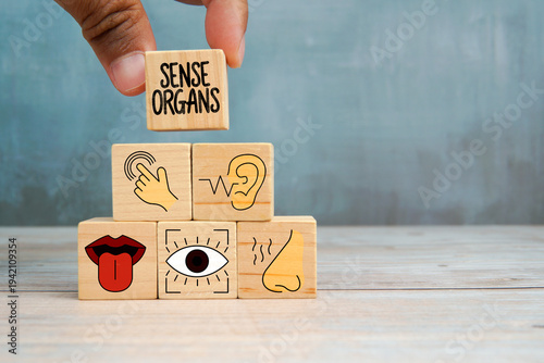 Fotografija Sense organs concept with wooden blocks showing icons of sight, touch, hearing, smell and taste on wooden table