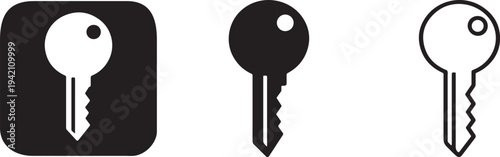 Single key bold line icon.
