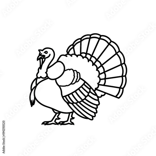 Black and white illustration of a turkey with its feathers spread out.