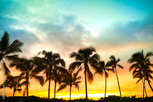 Palm Trees Silhouettes at Tropical Sunset Sky