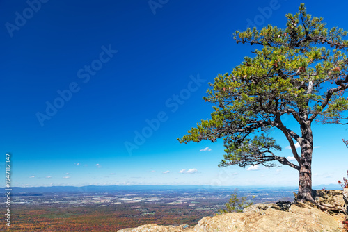 Schilderij op canvas Autumn panorama of Blue Ridge Mountains with lone tree and colorful forest valle