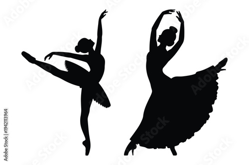Elegant ballerina poses in silhouette