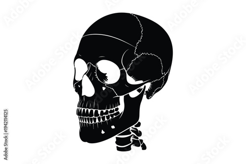Human skull and vertebrae silhouette