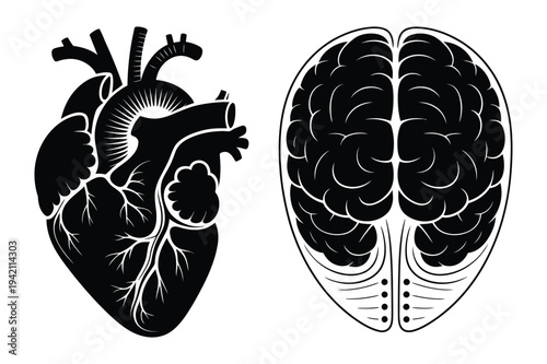 Anatomical heart and brain vector silhouettes