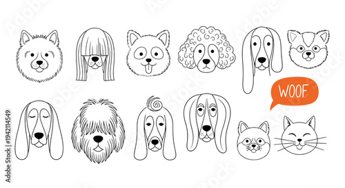 Collection of Cute Adventure Dogs in Various Breeds and Expressions