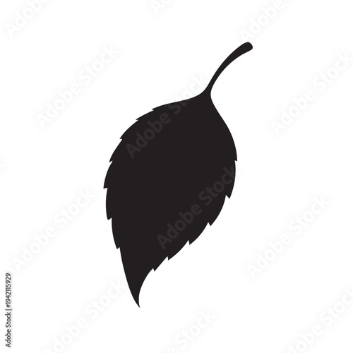 Single birch tree leaf silhouette vector illustration