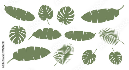 Set of 12 tropical green leaves vector illustrations