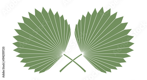 Vector palm leaves, green foliage icons