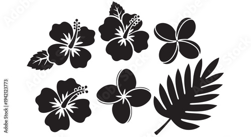 Tropical flower and leaf silhouettes collection for design and decoration purposes in various styles