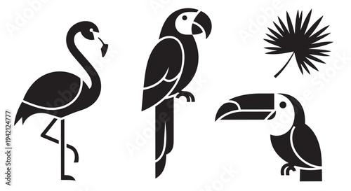 Black and white illustration of tropical birds including flamingo parrot and toucan