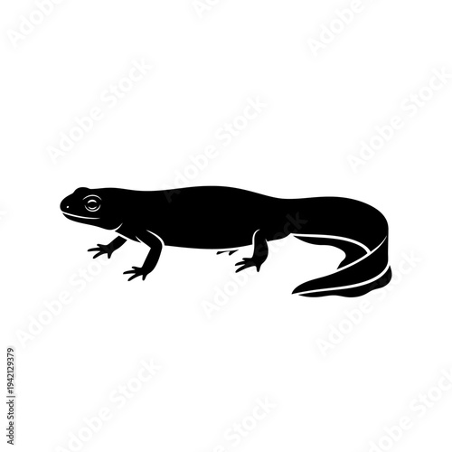 Silhouette of a newt in black color on a white background, isolated.