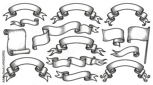 Top-down view of arranged scrolls and banners with ribbons on a white backdrop, illustrating elegant black line art in three rows