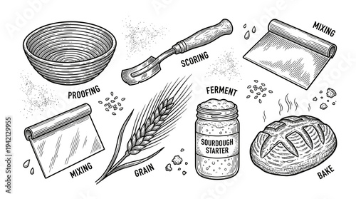 Step-by-step illustration of bread making stages from proofing to bake, viewed from a top-down perspective in a kitchen environment