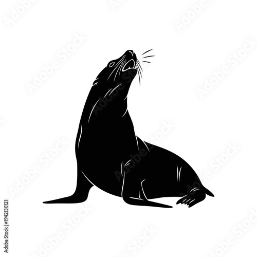 Silhouette of a sea lion roaring with its mouth open against white background.