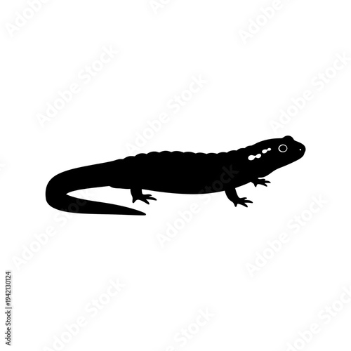 Silhouette of a newt isolated on a white background, perfect for design.