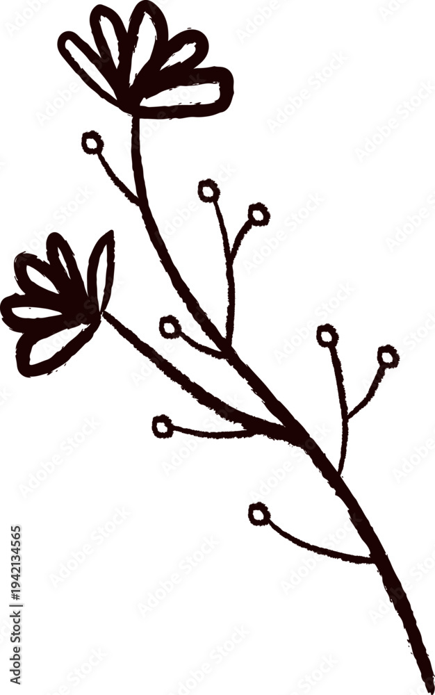 Obraz premium Flower Branch Line Drawing
