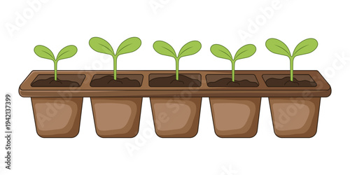 Set of green seedlings growing in brown starter tray 