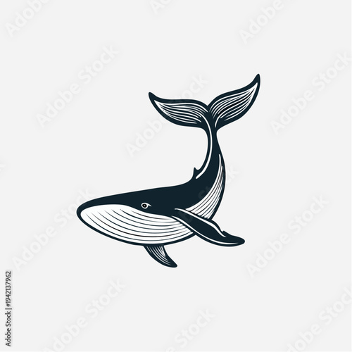 Black and White Whale Illustration Diving.